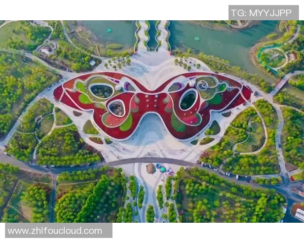 从零基础到高手之路:全面掌握乒乓球速度技巧与训练方法 从零基础到高手之路:全面掌握乒乓球速度技巧与训练方法