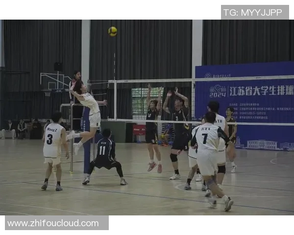 深圳排球队展现卓越团队协作能力荣登全国排球团队协作排名新高