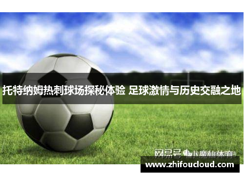 托特纳姆热刺球场探秘体验 足球激情与历史交融之地
