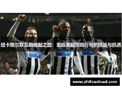 纽卡斯尔联喜鹊崛起之路：重返英超顶级行列的挑战与机遇